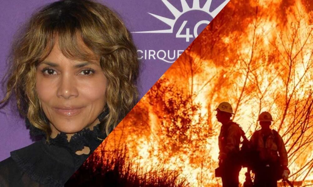 Halle Berry Donates Entire Closet to LA Wildfire Victims