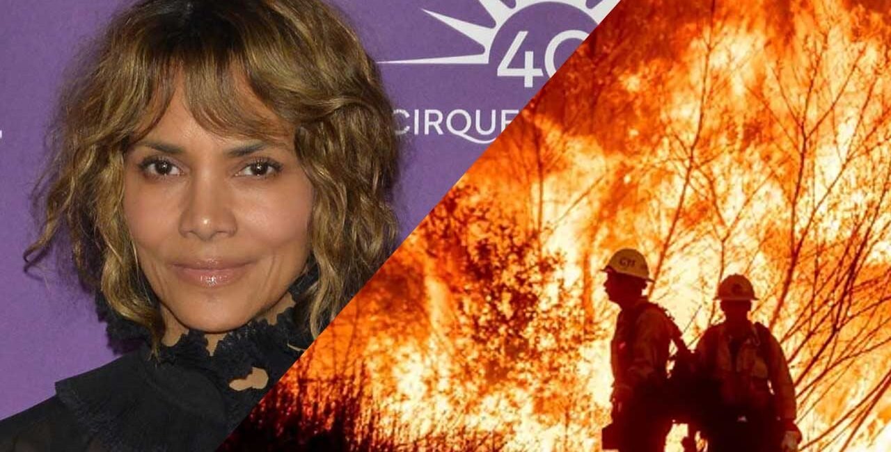 Halle Berry Donates Entire Closet to LA Wildfire Victims